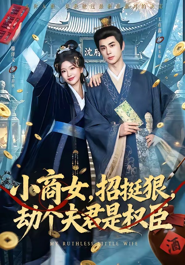 小商女，招挺狠，劫个夫君是权臣